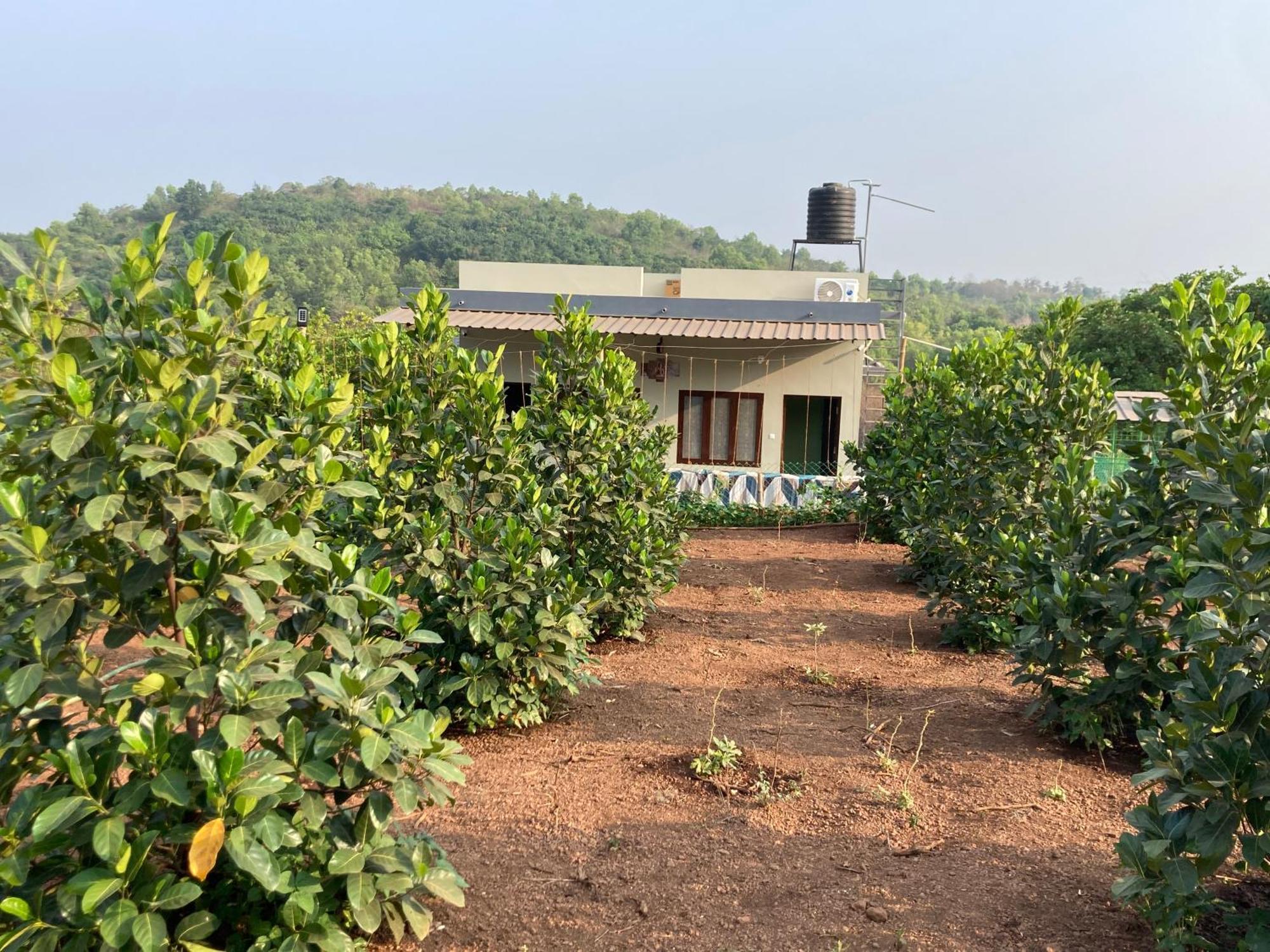 Mo'S Agro Villa Pappinisseri Bagian luar foto